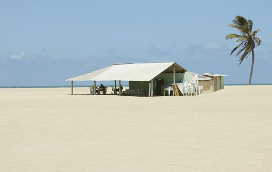  Tropical Restaurant Shack