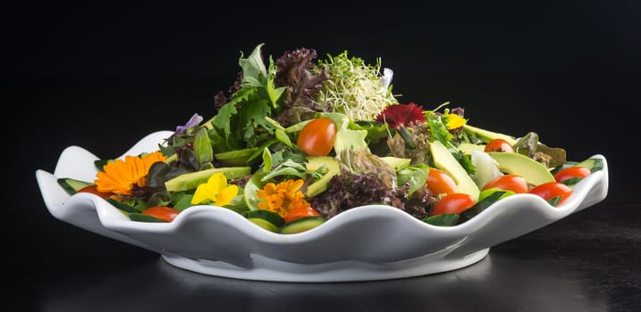 salad. salad on a background