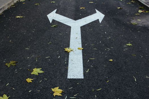 arrow on the road,right or left