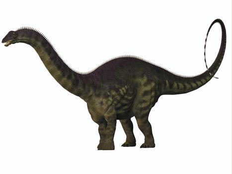 Apatosaurus also called Brontosaurus is a sauropod dinosaur of Western North America during the Jurassic Era.