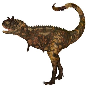 Carnotaurus was a theropod carnivorous dinosaur that lived in Argentina in the Cretaceous Period.