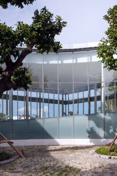 Curve glass wall of courtyard in the modern building 