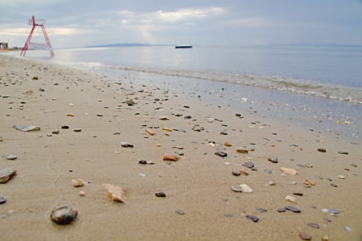 Photo shows a detail of the various stones on the sandy beach.