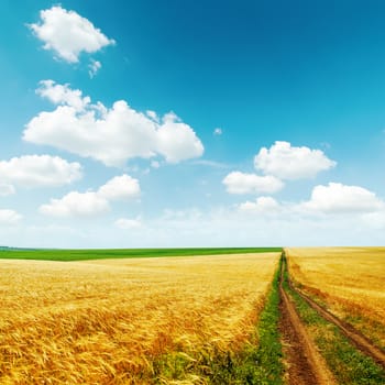 road in golden field with harvest under blue sky with clouds