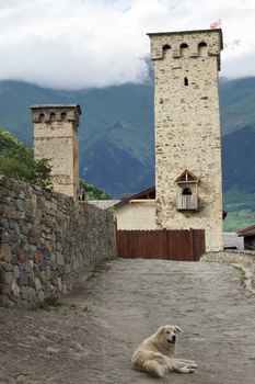 Fortified towers of Swanetia, Mestia, Georgia, Europe