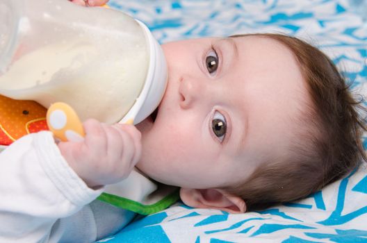 Six month old baby drinking milk from a bottle with the teat