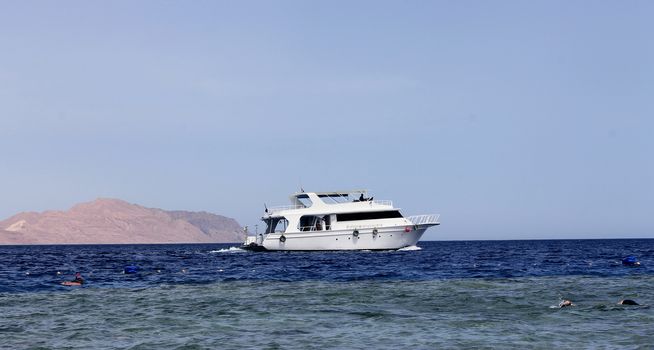 White Ship Moving By The Red Sea