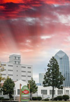 San Diego buildings and cityscape, California.