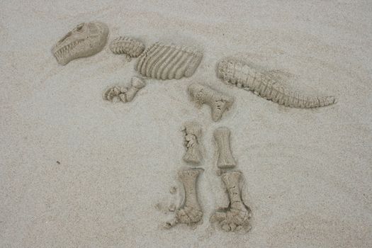 Molded sand contours of a T Rex