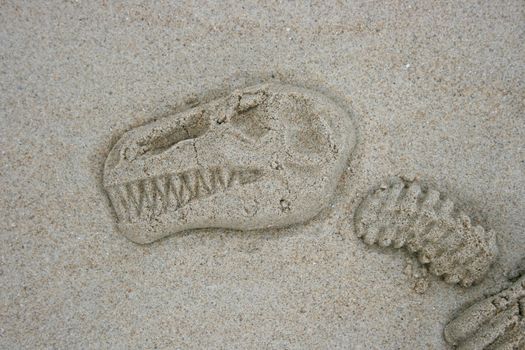 Molded sand contours of a T Rex