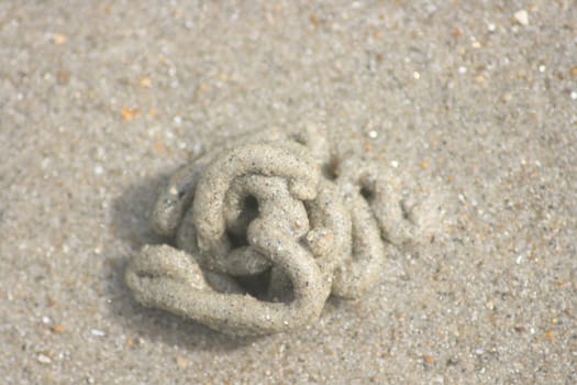 A live bait pile on the North Sea beach