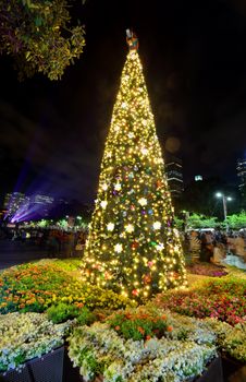 SYDNEY, AUSTRALIA - DECEMBER 23, 2014; The Christmas tree at St Mary's Cathedral forecourt in Sydney, Australia