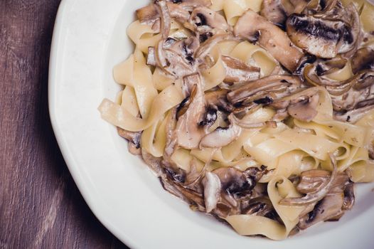 pasta with mushroom creamy sauce on white plate 