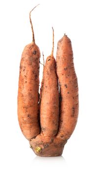 Figured carrot isolated on a white background