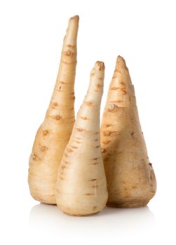Three parsley roots isolated on a white background