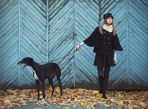 Young attractive girl dressed elegantly walks with the dog greyhound autumn outdoors