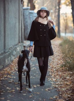 Young attractive girl dressed elegantly walks with the dog greyhound autumn outdoors