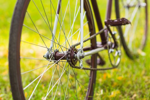 Stylish bicycle on green grass