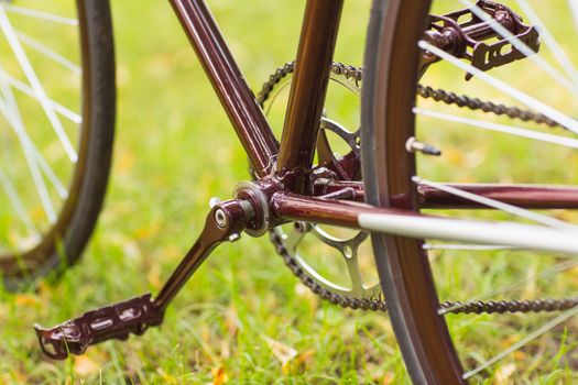 Stylish bicycle on green grass