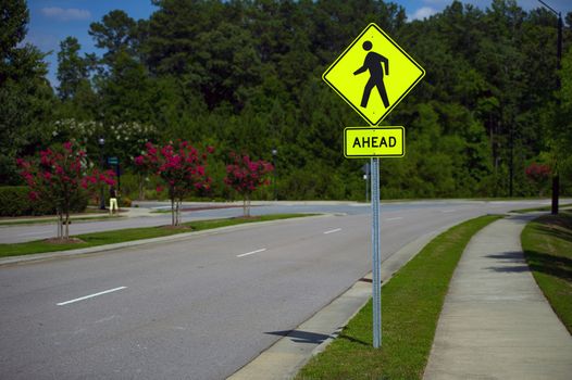 Pedestrian sign in a sunny day at a local road