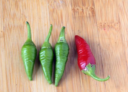 Red chilli with a group of green chilli, Being Different