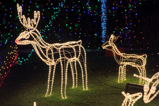 BEAUMONT HILLS, AUSTRALIA; DECEMBER 24, 2014; Brightly lit  by led tube lights reindeer in garden - Christmas decorations with background coloured party led lights.