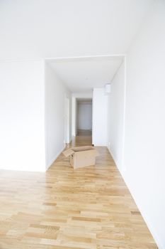 Empty white room with a cardboard box in the middle
