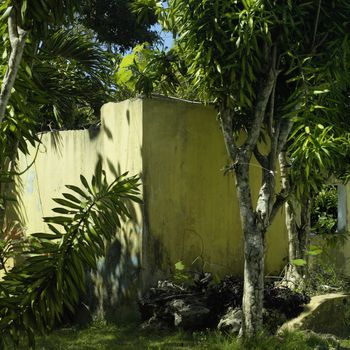 Old yellow concrete wall in a tropical location