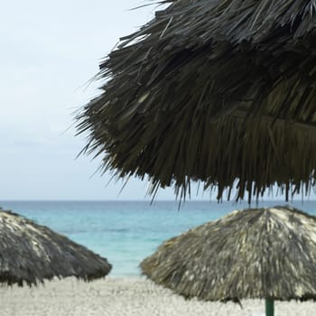 Palapas on a tropical beach