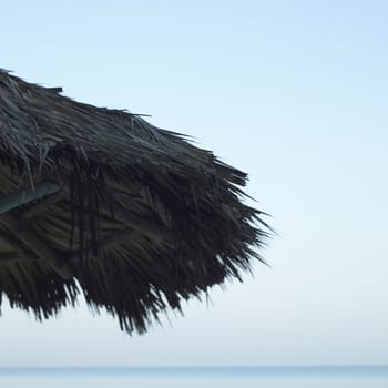 Palapa on a tropical beach