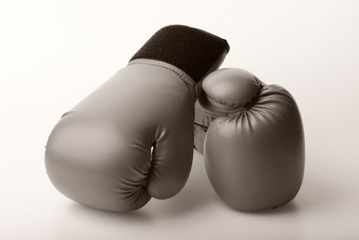 sepia color pair of leather boxing gloves