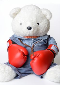 Big white Teddy Bear wear the red boxing glove