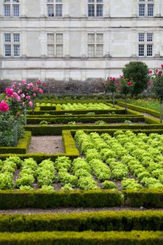 Gardens and Chateau de Villandry  in  Loire Valley in France 