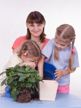 Mom and daughter five-year houseplant transplanted from one pot to another