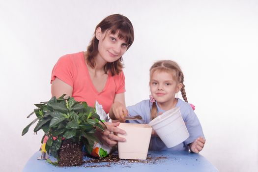 Mom and daughter five-year houseplant transplanted from one pot to another