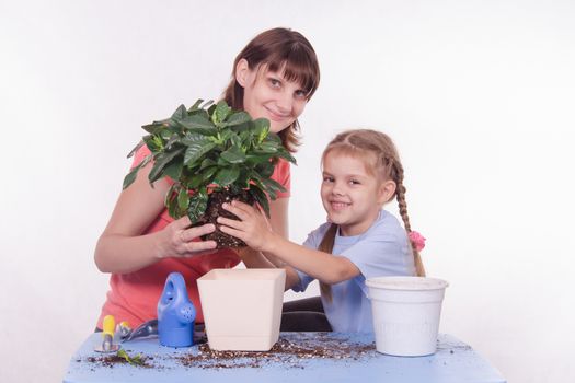 Mom and daughter five-year houseplant transplanted from one pot to another