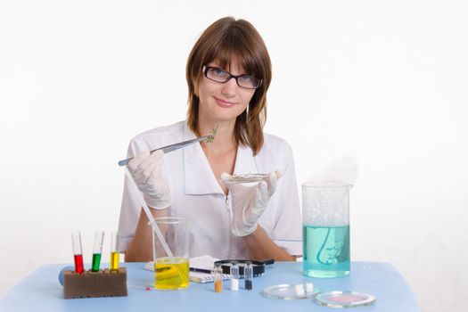 Young beautiful girl posing chemical experiments in the laboratory