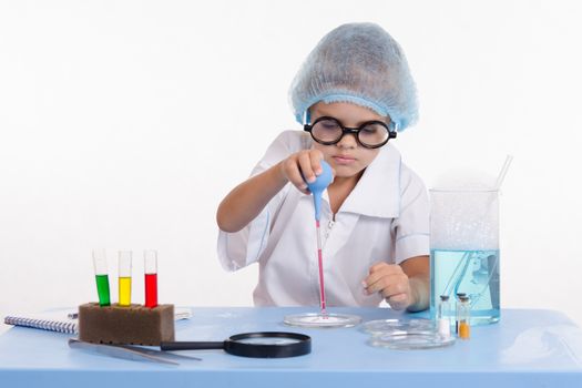 Chemist girl sitting at the table with the reagents in chemistry class and puts experiments