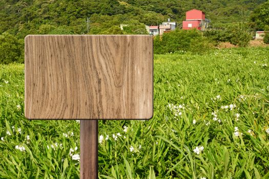 Blank wooden sign on field of farm. Concept of rural, idyllic, tranquility etc.