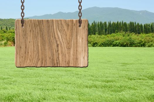 Blank wooden sign on field of farm. Concept of rural, idyllic, tranquility etc.