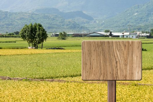 Blank wooden sign on field of paddy farm. Concept of rural, idyllic, tranquility etc.