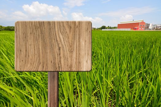 Blank wooden sign on field of farm. Concept of rural, idyllic, tranquility etc.