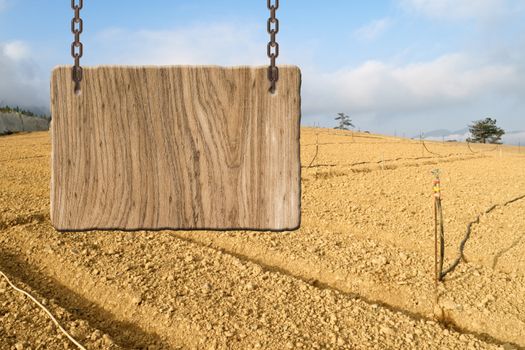 Blank wooden sign on field of farm. Concept of rural, idyllic, tranquility etc.