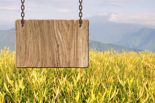 Blank wooden sign on field of farm. Concept of rural, idyllic, tranquility etc.