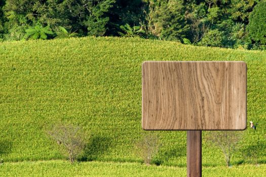 Blank wooden sign on field of farm. Concept of rural, idyllic, tranquility etc.