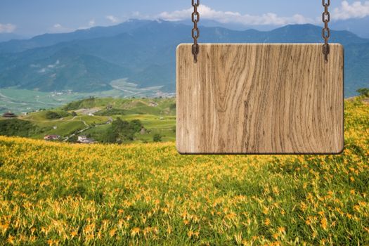 Blank wooden sign on field of farm. Concept of rural, idyllic, tranquility etc.