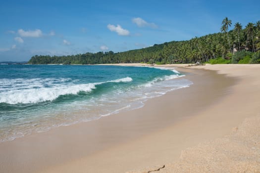 Sandy paradise beach with coconut palms, golden sand and emerald green water on the edge of Indian Ocean, Southern Province, Sri Lanka, Asia.