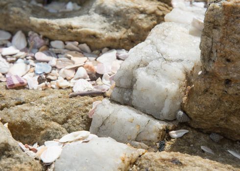 Calcite vein in rock at Rocky Point, Tangalle, Southern Province, Sri Lanka, Asia.