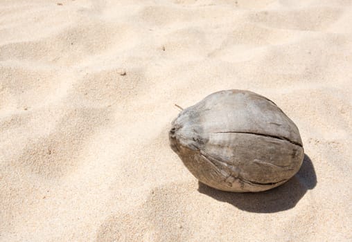 Beach with coconut. White sand and coconut in Southern Province, Sri Lanka, Asia.