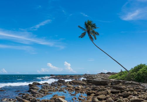 Tropical rocky beach with coconut palm tree. Rocky Point, Tangalle, Southern Province, Sri Lanka, Asia.